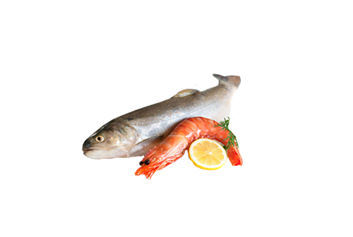 Ryby i owoce morza